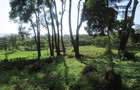 Residential Land at Ololua Ridge - 3