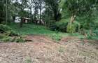 Land in Muthaiga - 5