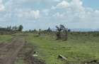 474 ac Land at Kamakis Mwalimu Farm - 4