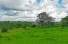 Land in Kilifi County - 9