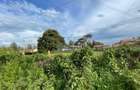 0.5 ac Residential Land in Nyeri - 6
