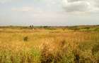 Land at Manira Trail - 1