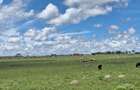 0.125 ac Residential Land at Kitengela - 11