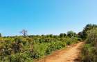 Land in Kikambala - 13