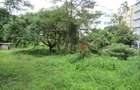 Land at East Church Rd - 5