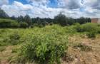 0.2 ha Commercial Land at Merisho Road - 8