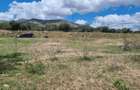 14 ac Land in Bisil - 1