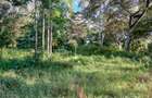 0.5 ac Land in Karen Hardy - 8