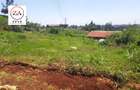 0.25 ac Land at Rwaka - 4