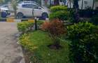 Serviced 1 Bed Apartment with En Suite at Nyali - 4