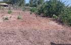 Land in Kilifi - 5