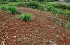 1.3 ac Land at Kiambu Road - 4