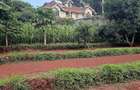 0.25 ac Residential Land at Kerarapon Drive - 2