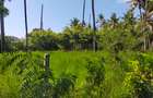 Land in Kilifi County - 6