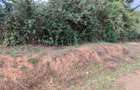 Land at Eldoret - 5