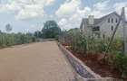 0.05 ac Land at Mushroom Kagera - 8