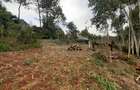 0.125 ac Land in Limuru - 3