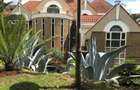 6 Bed Townhouse with En Suite in Muthaiga - 17