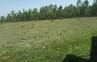 2 ac Residential Land in Ongata Rongai - 12