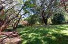 Residential Land at James Gichuru - 15