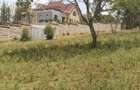 0.25 ac Land in Ngong - 4