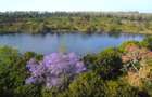 0.125 ac Residential Land in Ruiru - 4