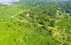 0.25 ac Land in Vipingo - 3