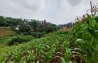 Residential Land at Kitisuru Ridge 44 - 16