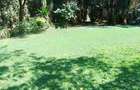 5.2 ac Land at Off Mandera - 1