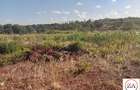 2.5 ac Land at Behind Thika Greens Estate - 3