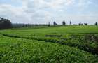 Land in Kiambu Town - 7