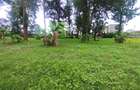 0.8 ac Land at Mumbi Road - 3