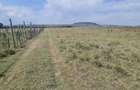3 ac Residential Land in Naivasha - 6