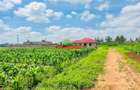 0.05 ha Residential Land at Kamangu - 6