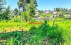 0.05 ha Residential Land at Ondiri - 7