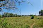 5 ac Land at Mtepeni - 15