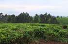 1 ac Residential Land at Riara Ridge - 6