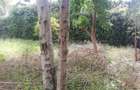 Land in Membley - 3