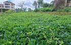 0.25 ac Land in Runda - 6
