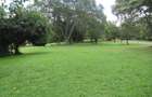 Residential Land at Karen - 10
