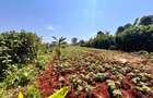 Land in Redhill - 6
