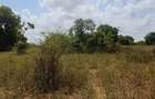 Land in Kilifi - 6