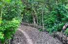 8,093.72 m² Land at Mtwapa Creek Aloo Drive - 9