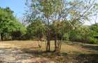 Land at Off Diani Beach Rd - 2