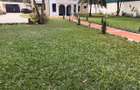 6 Bed Villa with Staff Quarters at Runda - 3