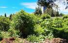 Land at Diani Beach Rd - 3