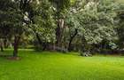 6 Bed House with Staff Quarters at Kitisuru Road - 3