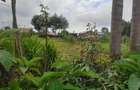 0.25 ac Land at Njabini Town - 9