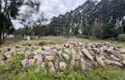 Land at Loresho - 4