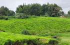 Land in Kiambu Road - 3